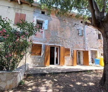 Bonvivan House Diminići Dış mekan fotoğraf
