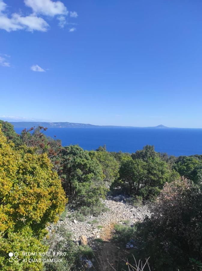 Bonvivan House Diminići Dış mekan fotoğraf