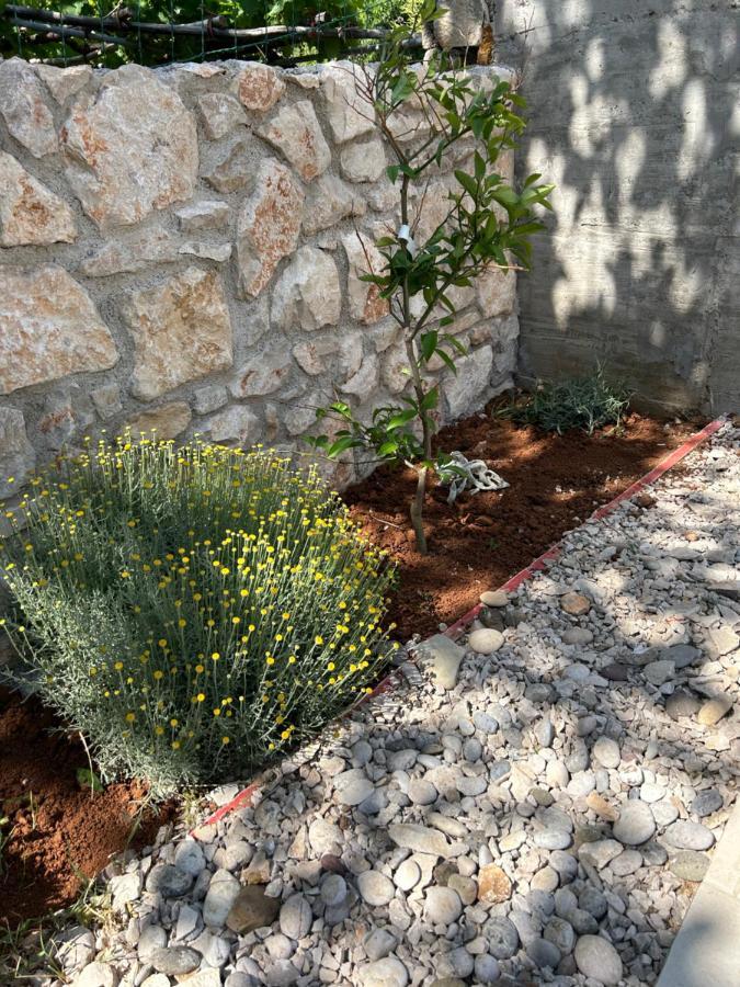 Bonvivan House Diminići Dış mekan fotoğraf